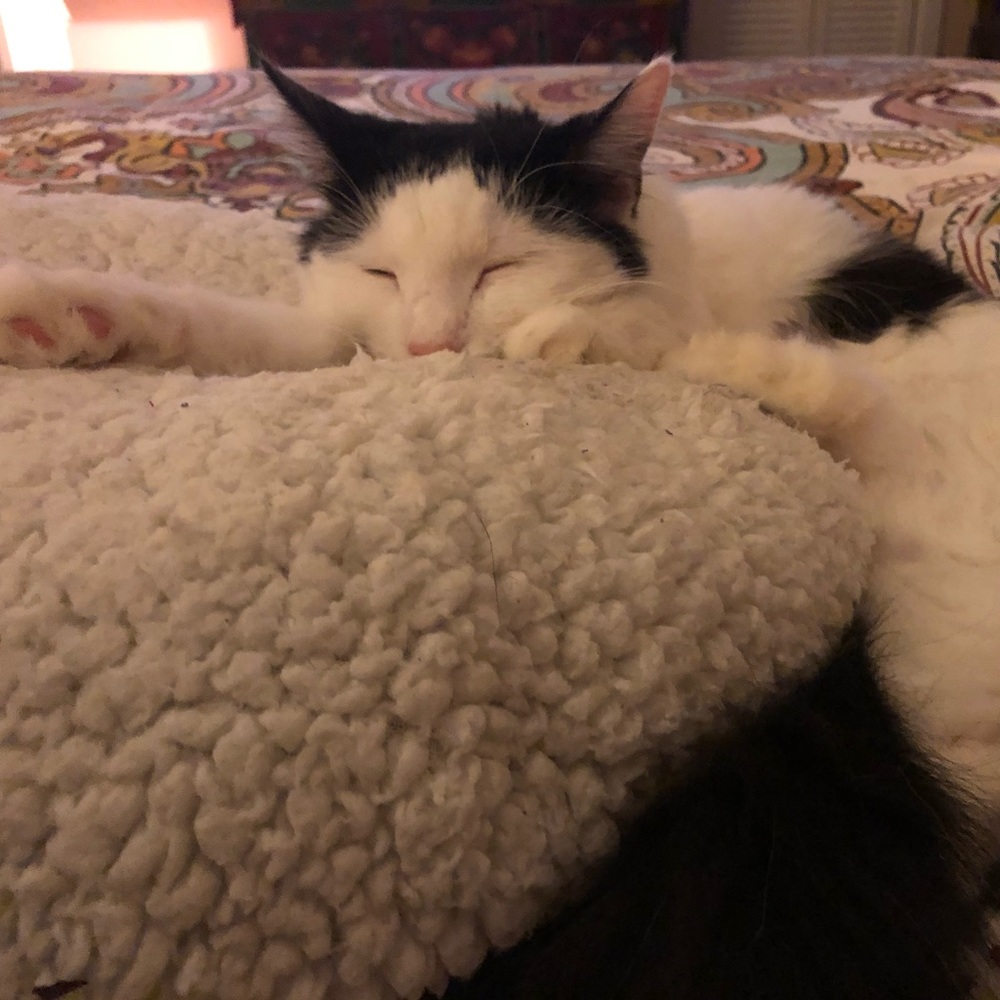 Who’s tired from all this Bundling???